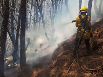 Hay incendios forestales en 12 municipios veracruzanos