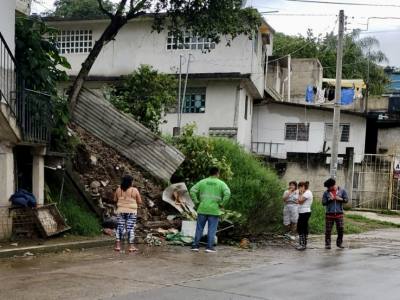 Lluvias dejan árboles caídos y deslaves en Xalapa y la región 
